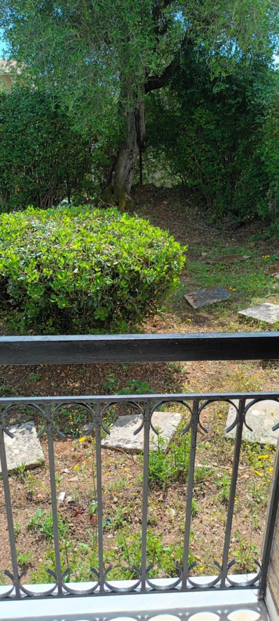جوفيا Dimitra Apartments G المظهر الخارجي الصورة